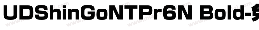 UDShinGoNTPr6N Bold字体转换